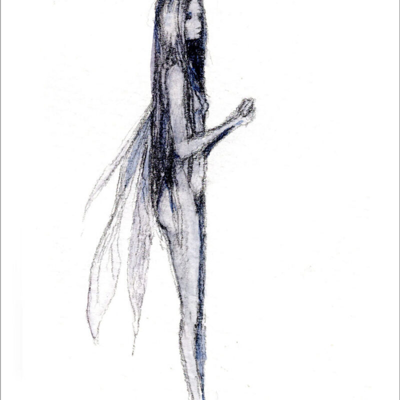 Blue Faerie 2